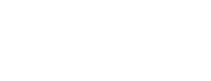 Rapid Imaging Solutions LLC Logo
